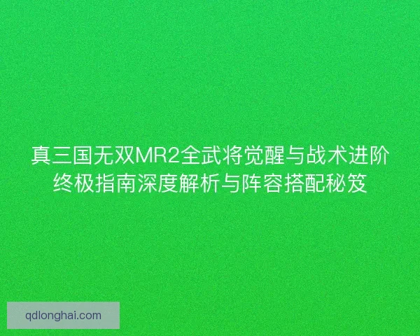 真三国无双MR2全武将觉醒与战术进阶终极指南深度解析与阵容搭配秘笈