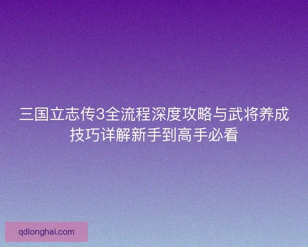 三国立志传3全流程深度攻略与武将养成技巧详解新手到高手必看