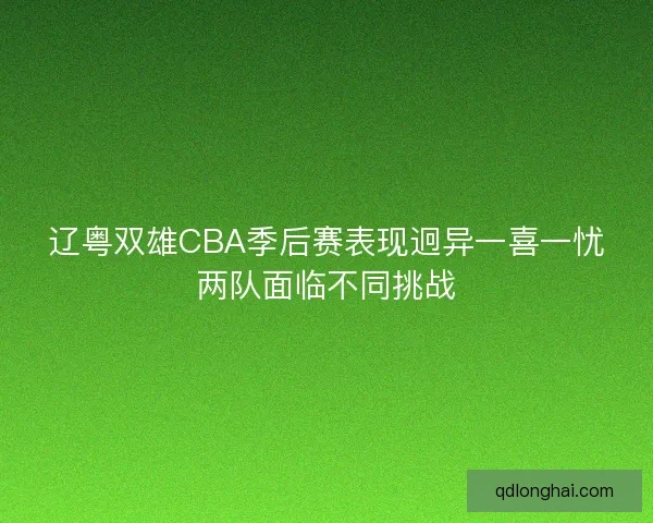 辽粤双雄CBA季后赛表现迥异一喜一忧两队面临不同挑战